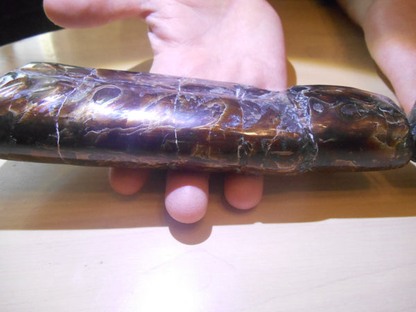 Bacculite Fossil　　バキュライト　アンモライト化　サウスダコタ