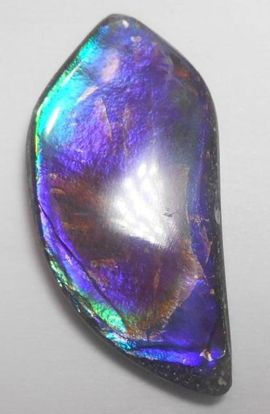 43 x 22 mm  Natural  Free Form . FFN 311 Ammolite  ナチュラル　ルース　アンモライト フリーフォーム