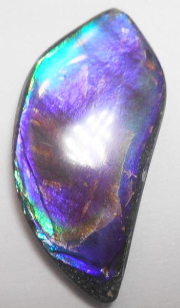 43 x 22 mm  Natural  Free Form . FFN 311 Ammolite  ナチュラル　ルース　アンモライト フリーフォーム