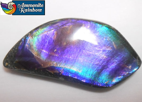 43 x 22 mm  Natural  Free Form . FFN 311 Ammolite  ナチュラル　ルース　アンモライト フリーフォーム
