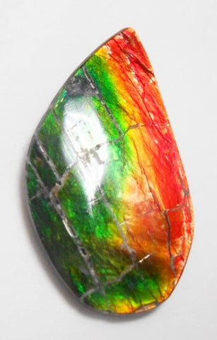 37 x 23 mm  Natural  Free Form . FFN 316 Ammolite  ナチュラル　ルース　アンモライト フリーフォーム
