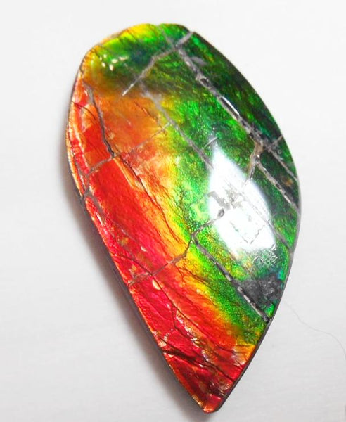 37 x 23 mm  Natural  Free Form . FFN 316 Ammolite  ナチュラル　ルース　アンモライト フリーフォーム