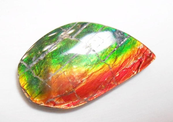 37 x 23 mm  Natural  Free Form . FFN 316 Ammolite  ナチュラル　ルース　アンモライト フリーフォーム