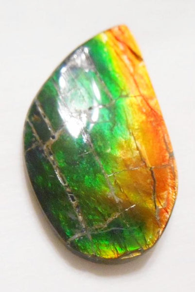 37 x 23 mm  Natural  Free Form . FFN 316 Ammolite  ナチュラル　ルース　アンモライト フリーフォーム