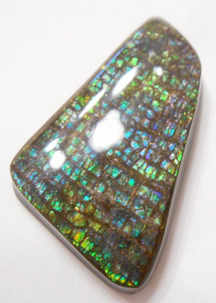 41 x 24 mm Coated Free Form Dragin skin - FFC65   - アンモライト　ルース　フリーフォーム