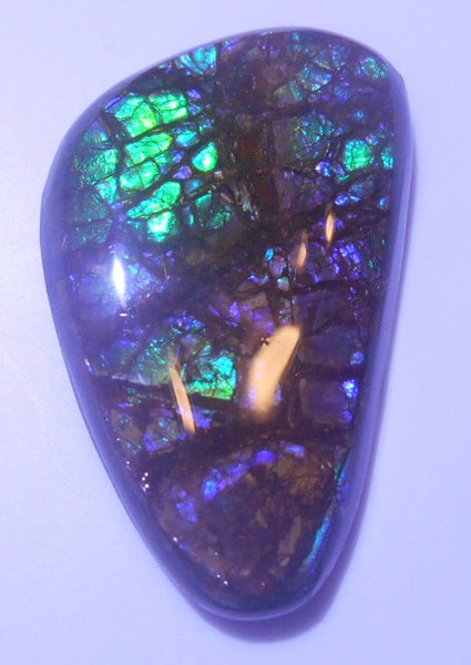 38x23mm　 Coated Free Form - FFC48   - アンモライト　ルース　フリーフォーム　