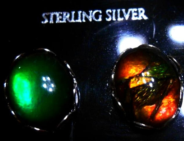 Sterling Silver Ammolite earrings 10x8mm - JWY-07 ピアス　シルバー・+ロジウムメッキ