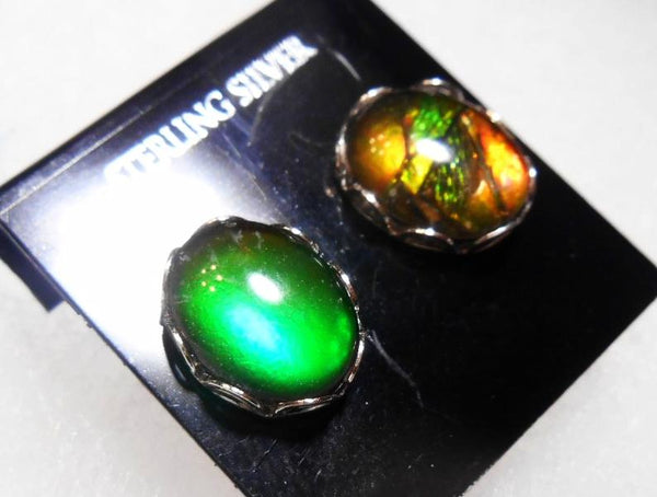 Sterling Silver Ammolite earrings 10x8mm - JWY-07 ピアス　シルバー・+ロジウムメッキ