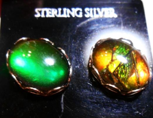 Sterling Silver Ammolite earrings 10x8mm - JWY-07 ピアス　シルバー・+ロジウムメッキ