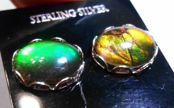 Sterling Silver Ammolite earrings 10x8mm - JWY-07 ピアス　シルバー・+ロジウムメッキ