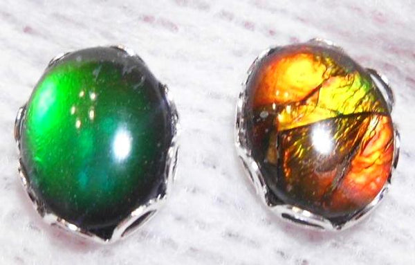 Sterling Silver Ammolite earrings 10x8mm - JWY-07 ピアス　シルバー・+ロジウムメッキ