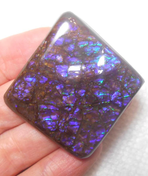 48 x 45 mm Coated Free Form Dragin skin - FFC71   - アンモライト　ルース　フリーフォーム