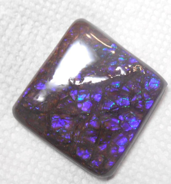 48 x 45 mm Coated Free Form Dragin skin - FFC71   - アンモライト　ルース　フリーフォーム