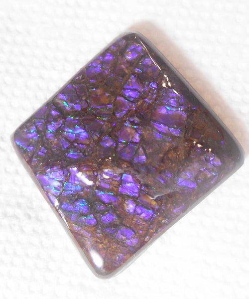 48 x 45 mm Coated Free Form Dragin skin - FFC71   - アンモライト　ルース　フリーフォーム