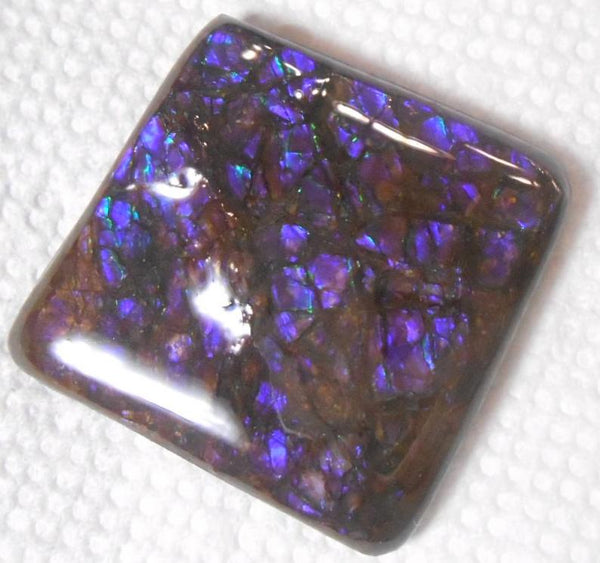 48 x 45 mm Coated Free Form Dragin skin - FFC71   - アンモライト　ルース　フリーフォーム