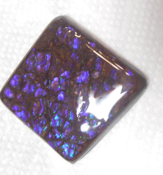 48 x 45 mm Coated Free Form Dragin skin - FFC71   - アンモライト　ルース　フリーフォーム