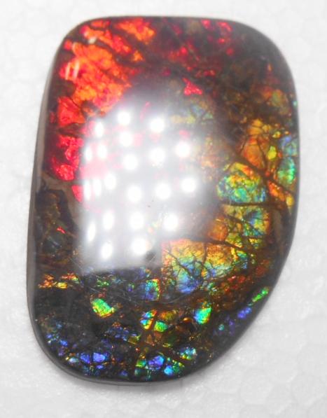 47 x 33 mm Coated Free Form Dragin skin - FFC72   - アンモライト　ルース　フリーフォーム