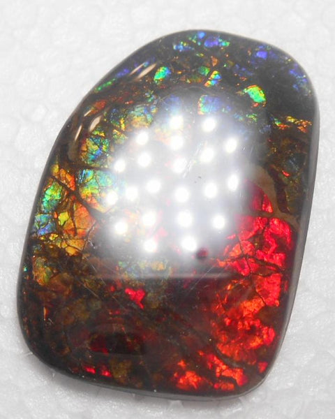 47 x 33 mm Coated Free Form Dragin skin - FFC72   - アンモライト　ルース　フリーフォーム