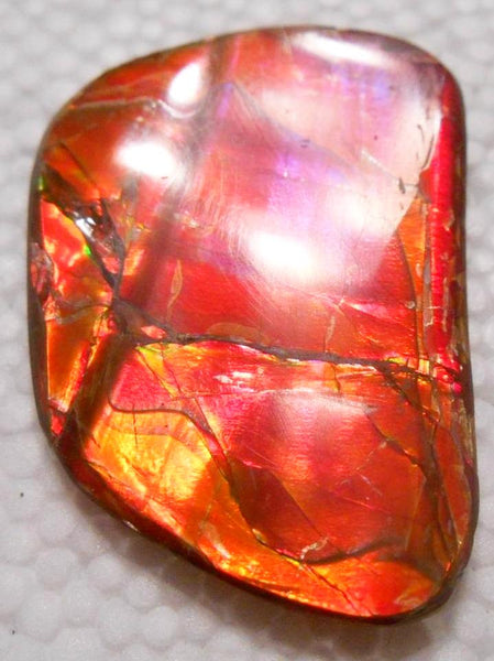 45 x 32 mm  Natural  Free Form . FFN 321 Ammolite  ナチュラル　ルース　アンモライト フリーフォーム
