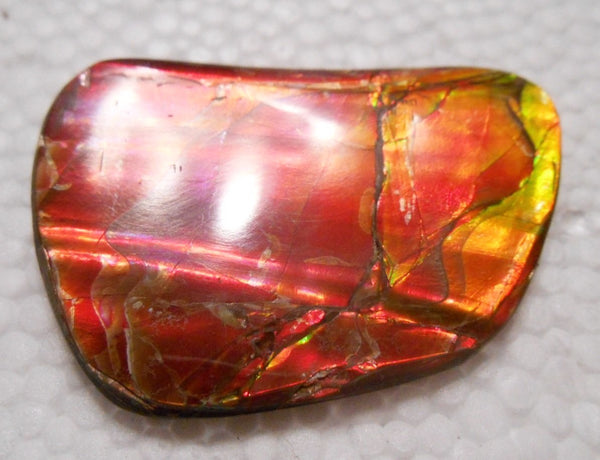 45 x 32 mm  Natural  Free Form . FFN 321 Ammolite  ナチュラル　ルース　アンモライト フリーフォーム