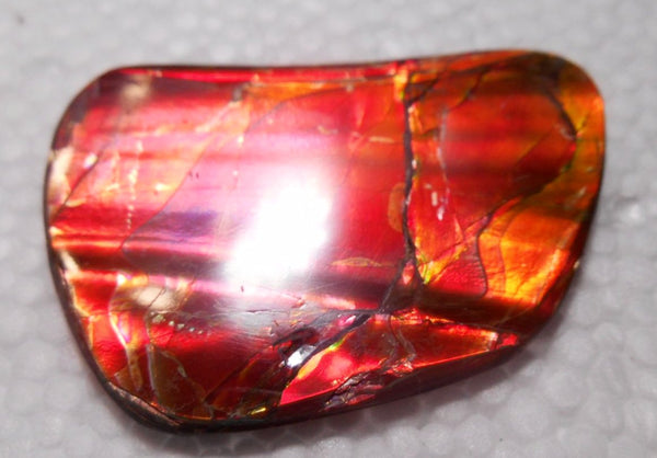 45 x 32 mm  Natural  Free Form . FFN 321 Ammolite  ナチュラル　ルース　アンモライト フリーフォーム