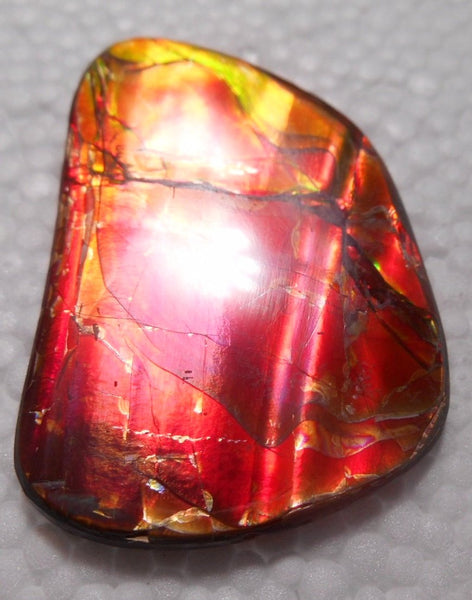 45 x 32 mm  Natural  Free Form . FFN 321 Ammolite  ナチュラル　ルース　アンモライト フリーフォーム