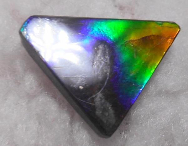 24 x 17 mm  Natural  Free Form . FFN 323 Ammolite  ナチュラル　ルース　アンモライト フリーフォーム