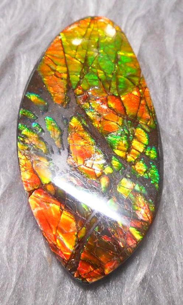 54  x 27 mm  Natural  Free Form . FFN 327 Ammolite  ナチュラル　ルース　アンモライト フリーフォーム