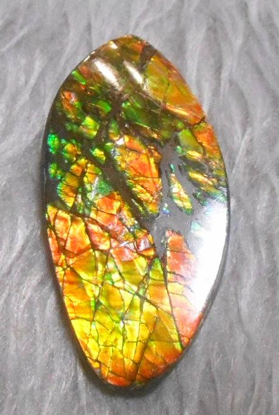 54  x 27 mm  Natural  Free Form . FFN 327 Ammolite  ナチュラル　ルース　アンモライト フリーフォーム