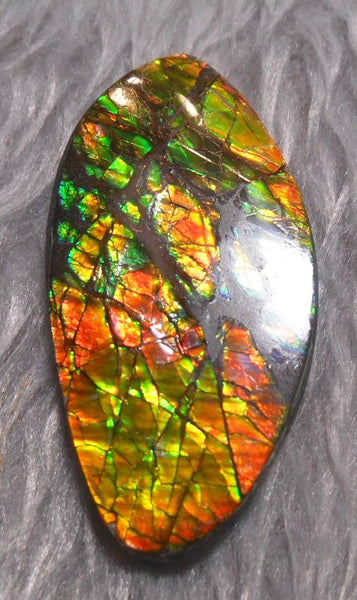 54  x 27 mm  Natural  Free Form . FFN 327 Ammolite  ナチュラル　ルース　アンモライト フリーフォーム