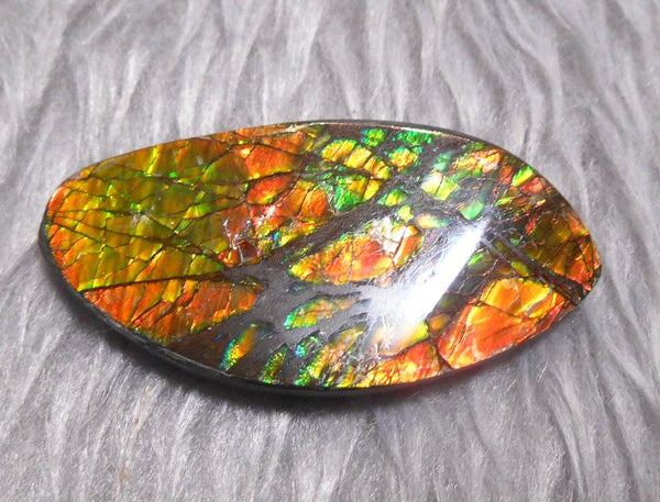54  x 27 mm  Natural  Free Form . FFN 327 Ammolite  ナチュラル　ルース　アンモライト フリーフォーム