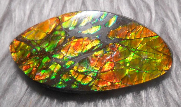 54  x 27 mm  Natural  Free Form . FFN 327 Ammolite  ナチュラル　ルース　アンモライト フリーフォーム