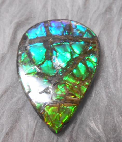 34  x 25 mm  Natural  Free Form . FFN 325 Ammolite  ナチュラル　ルース　アンモライト フリーフォーム