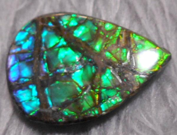 34  x 25 mm  Natural  Free Form . FFN 325 Ammolite  ナチュラル　ルース　アンモライト フリーフォーム