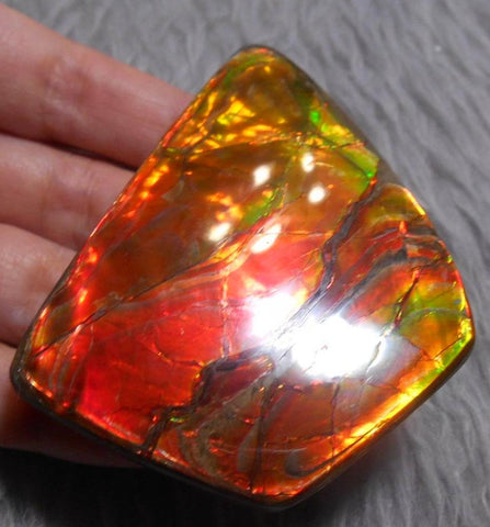 Super Bright  Ammolite   78 x 62 mm Collector Stone - CS-117   - アンモライト スーパーブライトカラー コレクターストーン　