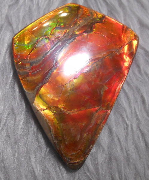 Super Bright  Ammolite   78 x 62 mm Collector Stone - CS-117   - アンモライト スーパーブライトカラー コレクターストーン　