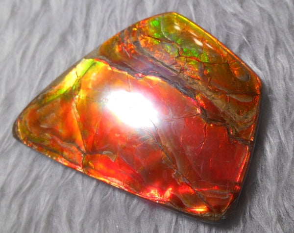 Super Bright  Ammolite   78 x 62 mm Collector Stone - CS-117   - アンモライト スーパーブライトカラー コレクターストーン　