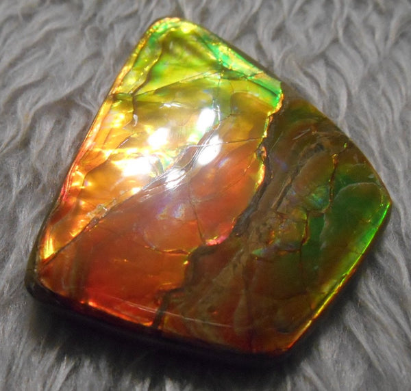 Super Bright  Ammolite   78 x 62 mm Collector Stone - CS-117   - アンモライト スーパーブライトカラー コレクターストーン　