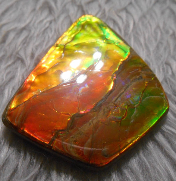 Super Bright  Ammolite   78 x 62 mm Collector Stone - CS-117   - アンモライト スーパーブライトカラー コレクターストーン　