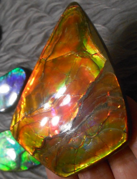 Super Bright  Ammolite   78 x 62 mm Collector Stone - CS-117   - アンモライト スーパーブライトカラー コレクターストーン　