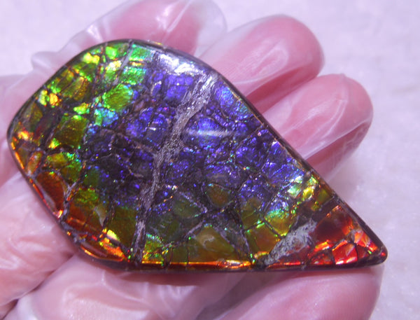 57 x 33 x 6 mm - Natural Free Form  AA GRADE FFN 190  Ammolite ナチュラル　ルース　アンモライト フリーフォーム