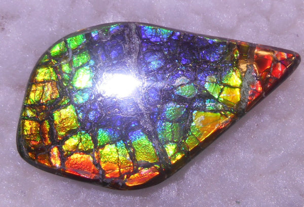 57 x 33 x 6 mm - Natural Free Form  AA GRADE FFN 190  Ammolite ナチュラル　ルース　アンモライト フリーフォーム