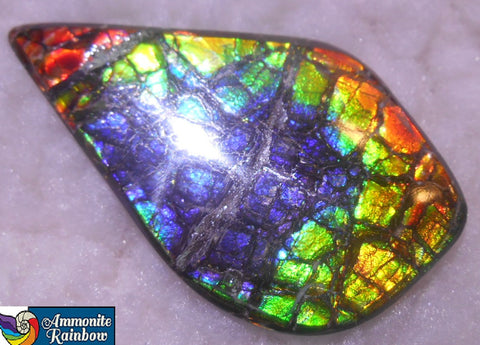 57 x 33 x 6 mm - Natural Free Form  AA GRADE FFN 190  Ammolite ナチュラル　ルース　アンモライト フリーフォーム