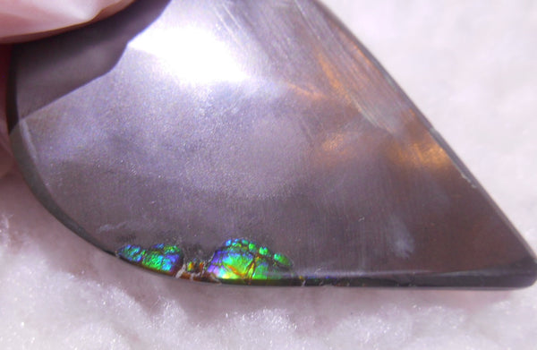 57 x 33 x 6 mm - Natural Free Form  AA GRADE FFN 190  Ammolite ナチュラル　ルース　アンモライト フリーフォーム