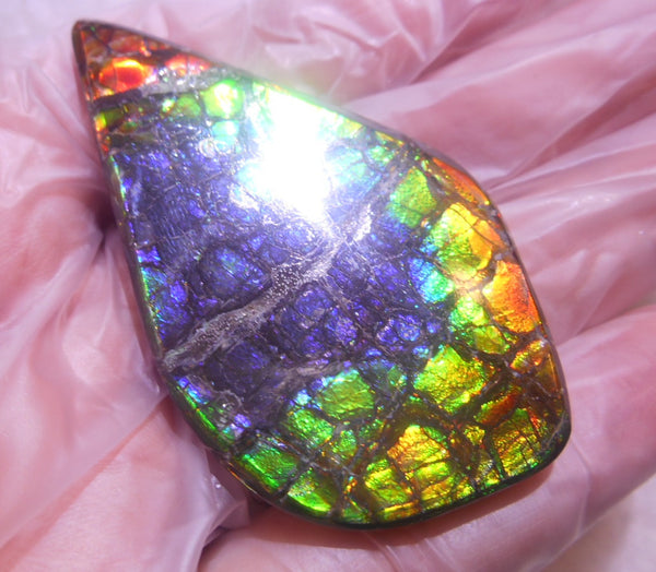 57 x 33 x 6 mm - Natural Free Form  AA GRADE FFN 190  Ammolite ナチュラル　ルース　アンモライト フリーフォーム