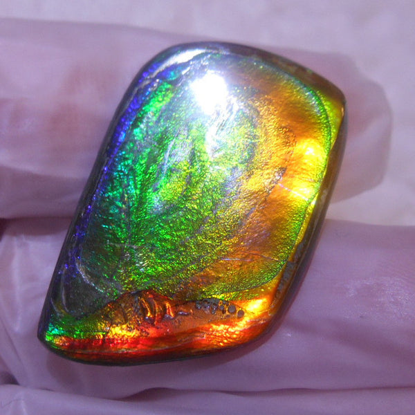 30 x 20 mm - Natural 　Free Form FFN 195  Ammolite ナチュラル　ルース　アンモライト フリーフォーム