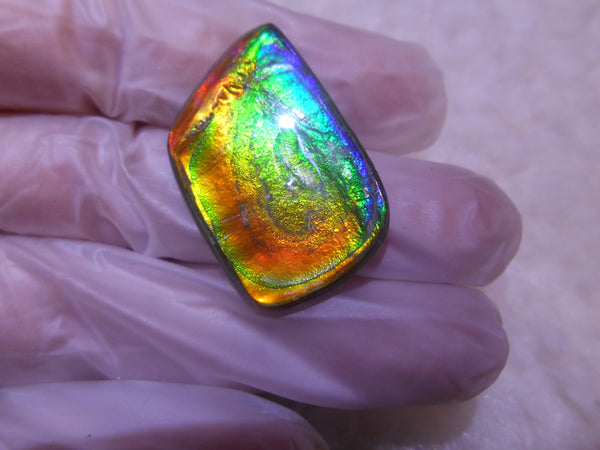30 x 20 mm - Natural 　Free Form FFN 195  Ammolite ナチュラル　ルース　アンモライト フリーフォーム