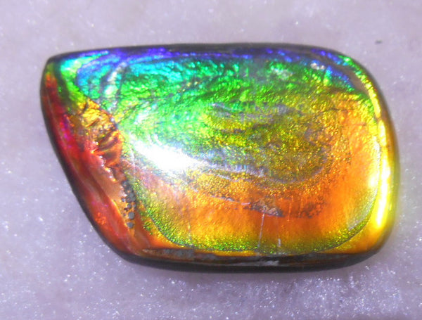 30 x 20 mm - Natural 　Free Form FFN 195  Ammolite ナチュラル　ルース　アンモライト フリーフォーム