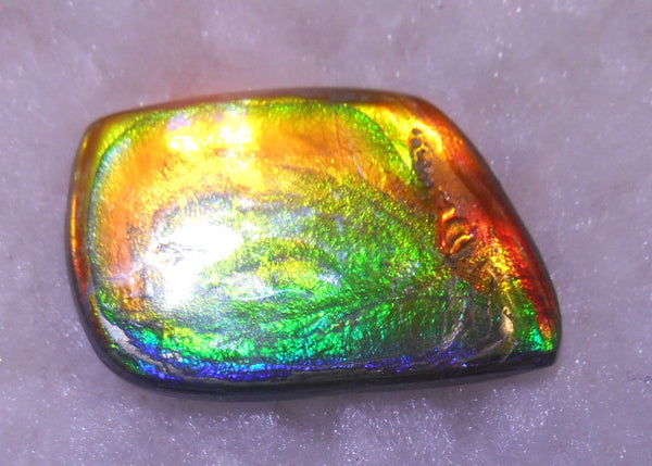 30 x 20 mm - Natural 　Free Form FFN 195  Ammolite ナチュラル　ルース　アンモライト フリーフォーム