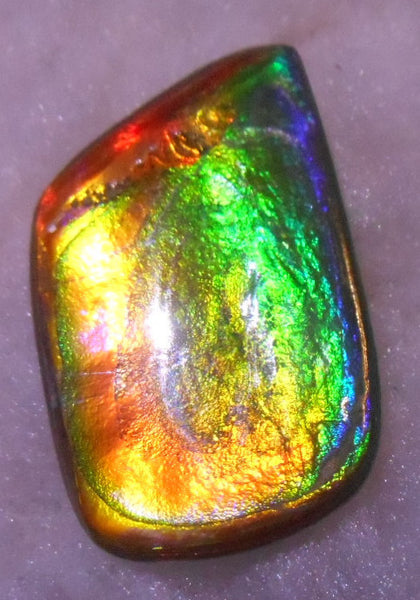 30 x 20 mm - Natural 　Free Form FFN 195  Ammolite ナチュラル　ルース　アンモライト フリーフォーム